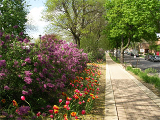 Lombard